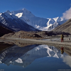 tibettravelguide.org