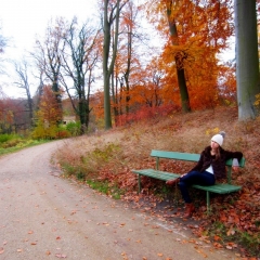 Park Babelsberg