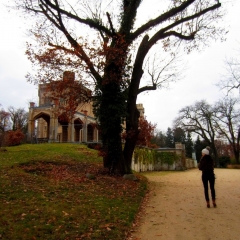 Park Babelsberg