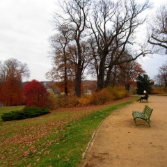 Park Babelsberg