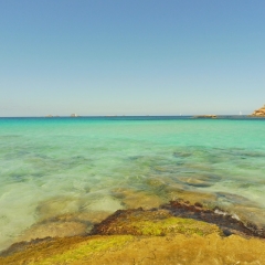 CALA CONTA