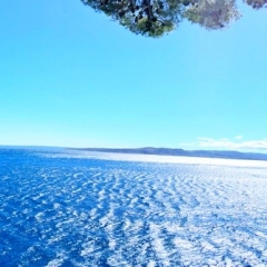 RIWIERA MAKARSKA-PUNTA RATA