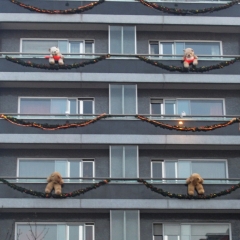 STRASBURG W ŚWIĄTECZNYM WYDANIU