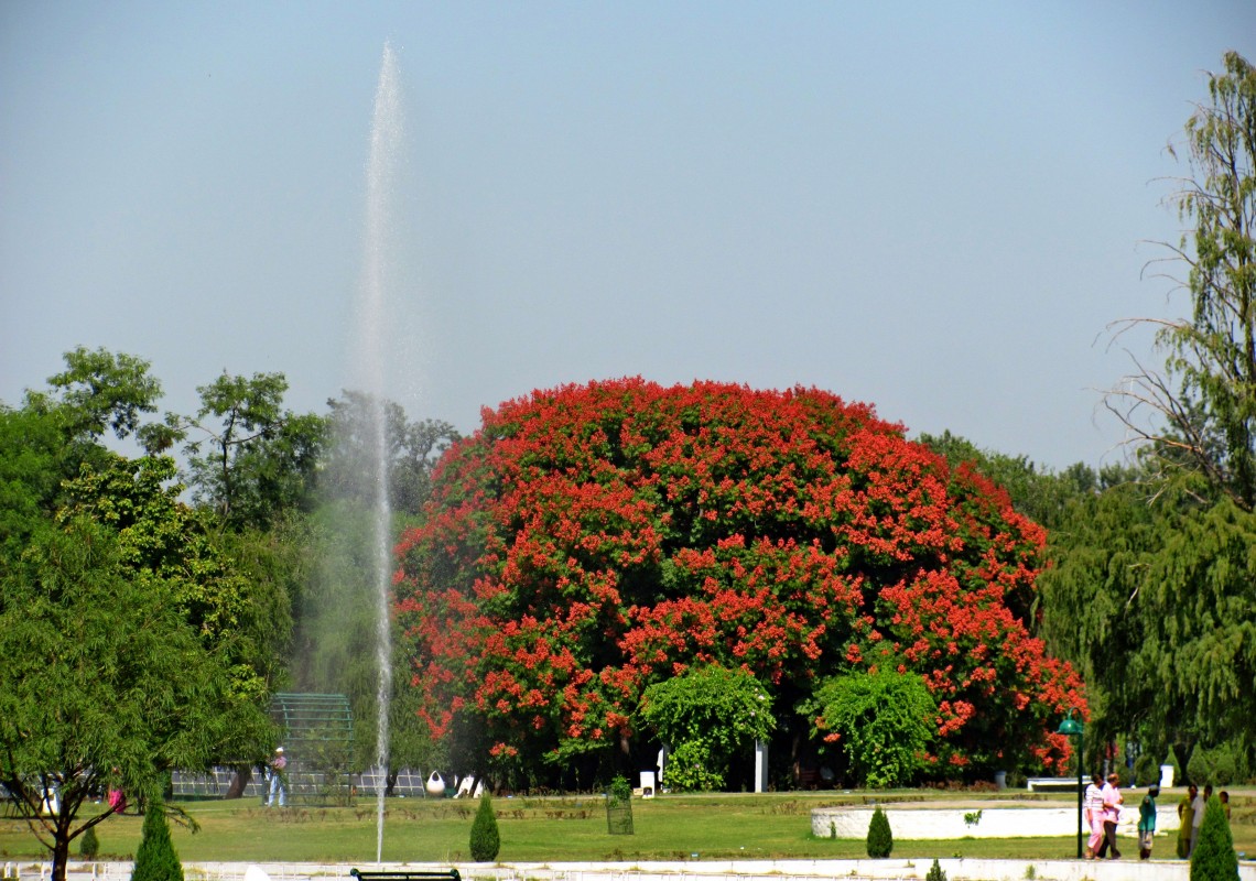 Rose Garden Chandigarh