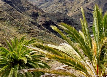 La Gomera