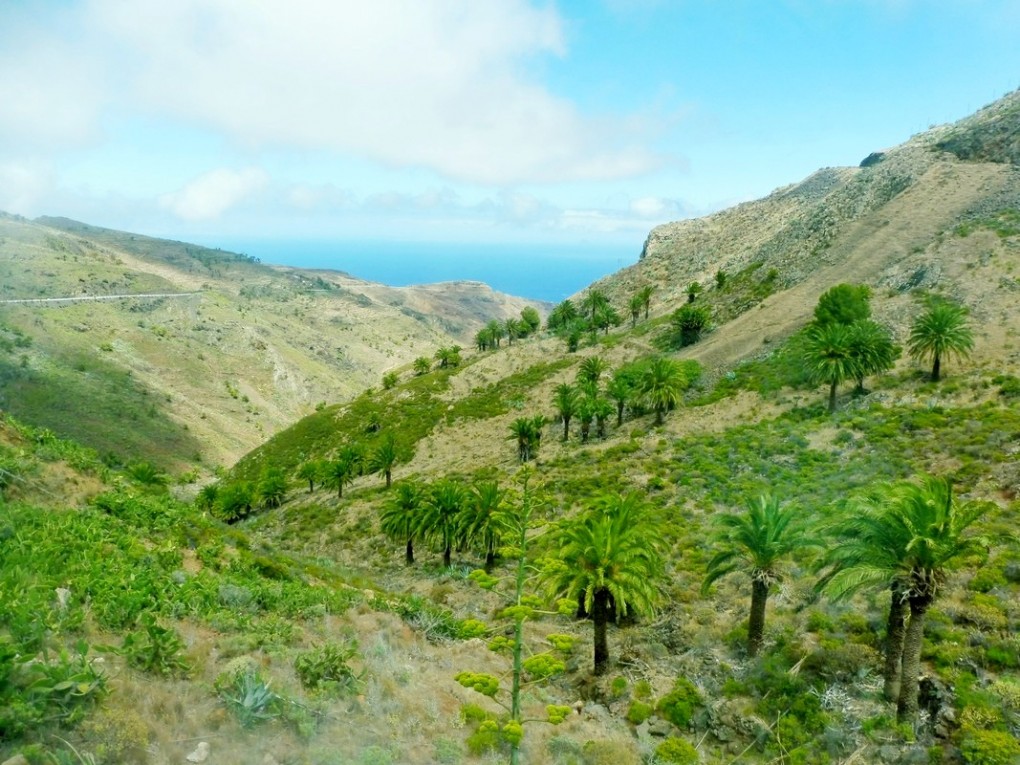 la gomera- sistersm (10)