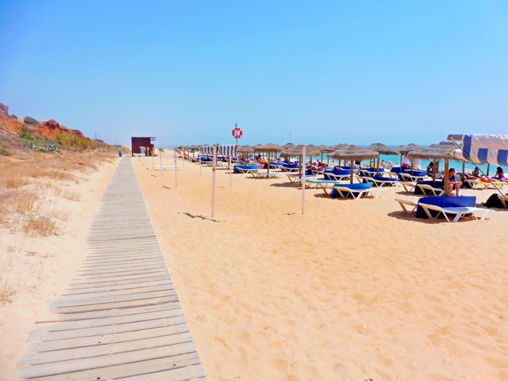 PRAIA FALESIA- SISTERSM (14)