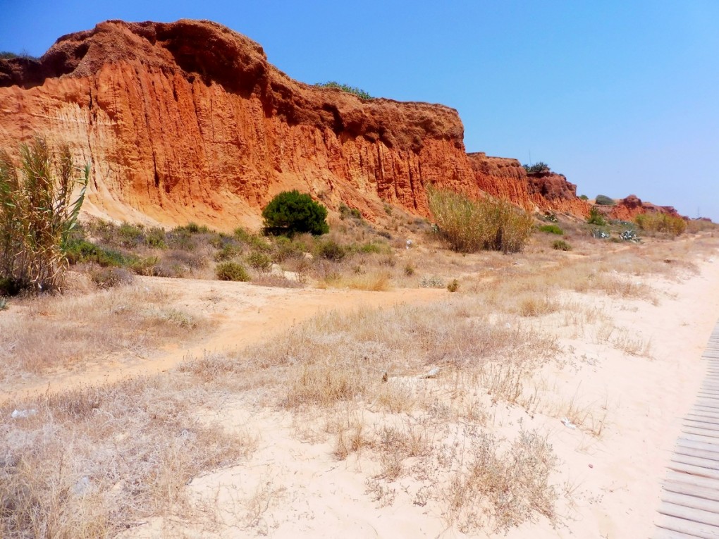 PRAIA FALESIA- SISTERSM (9)