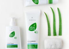ALOE AND ITS APPLICATION